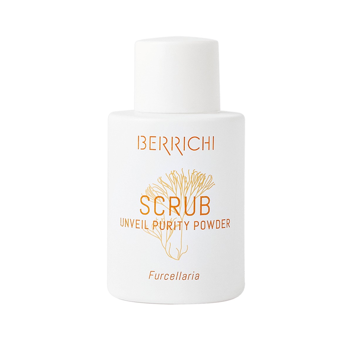Reveal Purity Powder SCRUB
